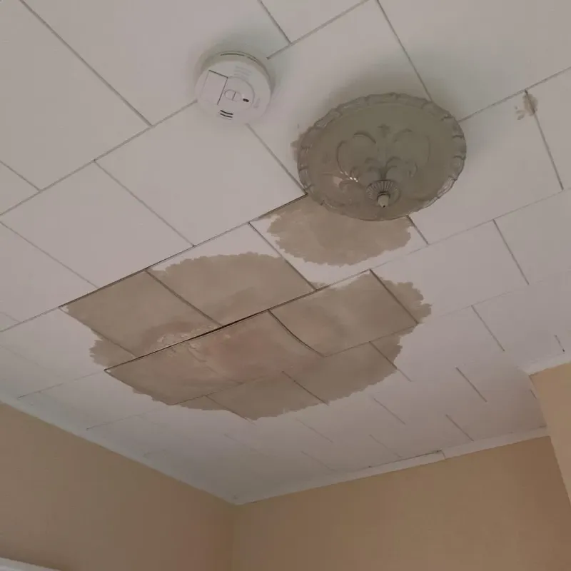 Ceiling Water Damage Repair in Osseo, MN