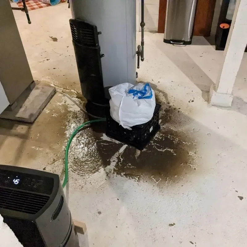 Sewage Backup Cleanup Service in Osseo, MN